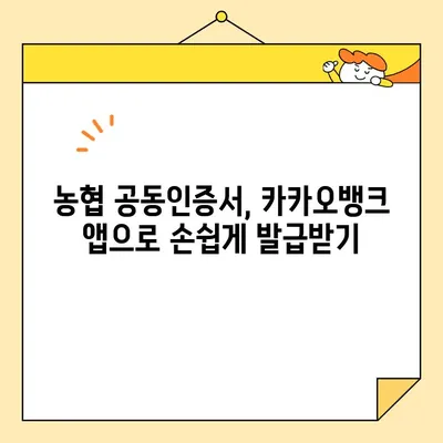 카카오뱅크 & 농협 공동인증서 발급 완벽 가이드| 단계별 설명 및 주의 사항 | 공동인증서, 발급, 카카오뱅크, 농협, 인증서