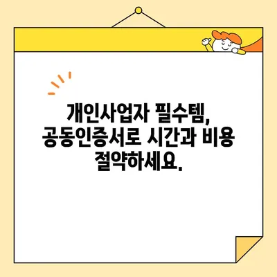 개인사업자 공동인증서, 비대면 발급 완벽 가이드| 범용 인증서 포함 | 공동인증서, 비대면 발급, 범용 인증서, 개인사업자