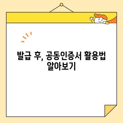 온라인으로 사업자 공동인증서 발급받는 방법| 단계별 가이드 | 공동인증서, 온라인 발급, 사업자