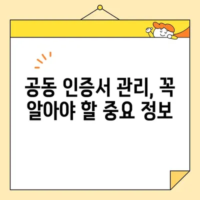 KB국민은행 공동 인증서 발급 및 관리 완벽 가이드 |  발급, 사용, 관리, FAQ