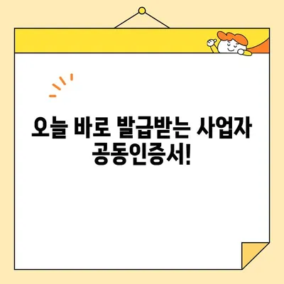 사업자 범용 공동인증서 당일 발급 완벽 가이드| 필수 서류 & 간편 발급 방법 | 공동인증서, 사업자등록증, 당일 발급