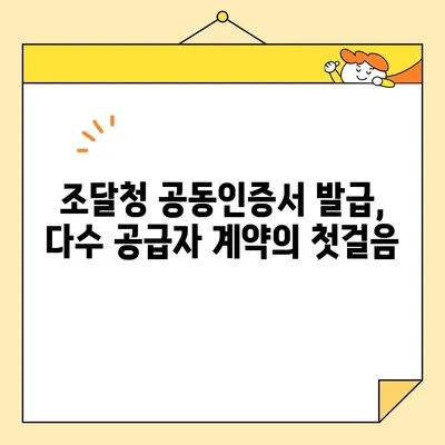 다수 공급자 계약을 위한 나라장터 필수 사업자 공동인증서 발급 가이드 | 조달청, 공동인증서, 공동계약