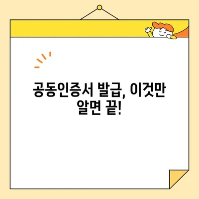 다수공급자 계약 필수 사업자 공동인증서 발급 완벽 가이드 | 단계별 설명, 필요 서류, 주의 사항