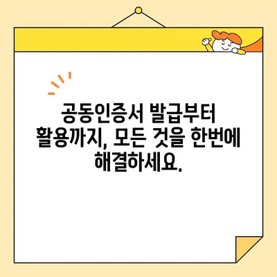 개인사업자 공동인증서 비대면 발급 완벽 가이드| 범용인증서 포함 | 사업자등록, 온라인 발급, 쉽고 빠르게