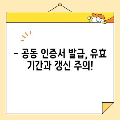 공동 인증서 발급 시 꼭 알아야 할 7가지 유의 사항 | 공동 인증, 발급 절차, 필수 서류, 주의 사항