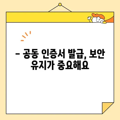 공동 인증서 발급 시 꼭 알아야 할 7가지 유의 사항 | 공동 인증, 발급 절차, 필수 서류, 주의 사항