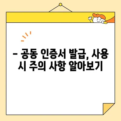 공동 인증서 발급 시 꼭 알아야 할 7가지 유의 사항 | 공동 인증, 발급 절차, 필수 서류, 주의 사항