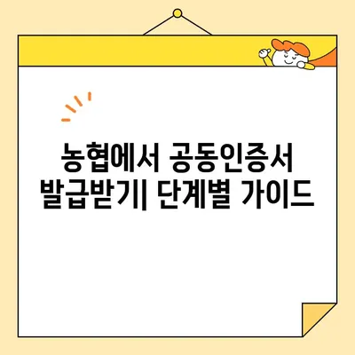 카카오뱅크·농협 공동인증서 발급 완벽 가이드| 단계별 설명 및 주의 사항 | 공동인증서, 발급 방법, 카카오뱅크, 농협