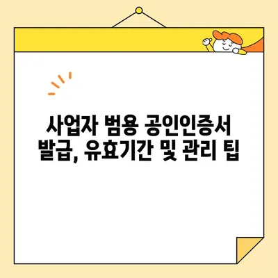 사업자 범용 공인인증서 발급 완벽 가이드 |  단계별 설명, 필요 서류, 발급 기관 비교