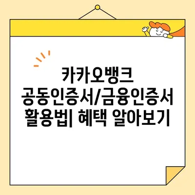 카카오뱅크 공동인증서/금융인증서 발급 완벽 가이드 | 간편 발급, 사용 방법, 주의 사항