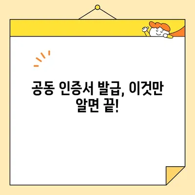 전자 서명법에 따른 공동 인증서 발급 필수 요건 완벽 가이드 | 전자서명, 공동인증서, 발급 절차, 필요 서류