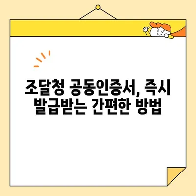 나라장터 입찰, 사업자 공동인증서 바로 발급받는 방법 | 조달청, 공동인증서, 입찰 참여, 즉시 발급