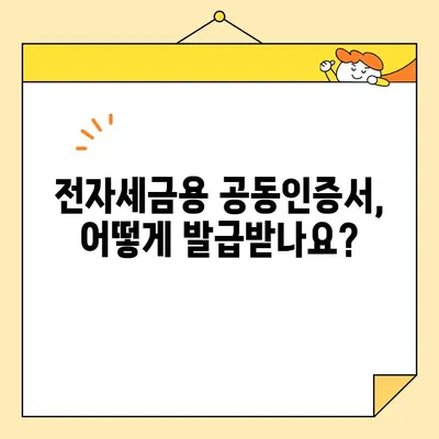 전자세금계산서 발행 필수! 전자세금용 공동인증서 발급 완벽 가이드 | 전자세금계산서, 공동인증서, 발급, 방법, 가이드