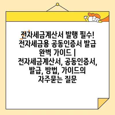 전자세금계산서 발행 필수! 전자세금용 공동인증서 발급 완벽 가이드 | 전자세금계산서, 공동인증서, 발급, 방법, 가이드