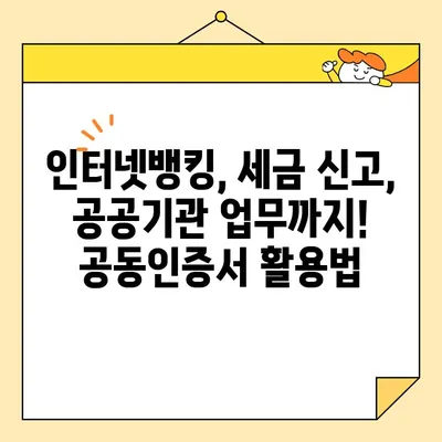 개인사업자 공동인증서 비대면 발급 완벽 가이드| 범용인증서 신청부터 발급까지 | 사업자등록증, 인터넷뱅킹, 공동인증서, 비대면