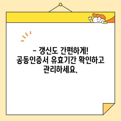 네이버 공동인증서 발급, 갱신, 내보내기 완벽 가이드 | 간편하게 해결하세요!