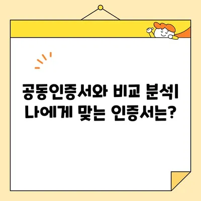 신한은행 금융인증서 발급 완벽 가이드| 공동인증서와 비교분석 | 금융인증서, 공동인증서, 신한은행, 발급 방법, 비교