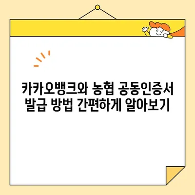 카카오뱅크 vs 농협| 공동인증서 발급, 어디가 더 빠를까요? | 비교 가이드, 발급 방법, 장단점