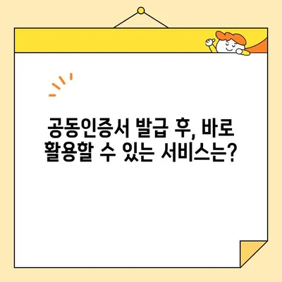 사업자 공동인증서 발급 완벽 가이드| 한국사업자인증센터 | 사업자등록증, 공동인증서, 발급, 절차, 온라인