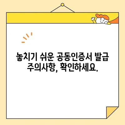 공동인증서 발급, 이제 쉽게! | 단계별 가이드 & 주의사항