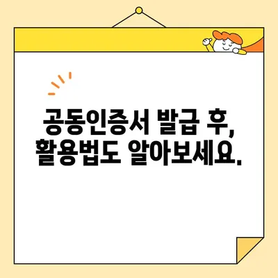 공동인증서 발급, 이제 쉽게! | 단계별 가이드 & 주의사항