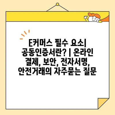E커머스 필수 요소| 공동인증서란? | 온라인 결제, 보안, 전자서명, 안전거래