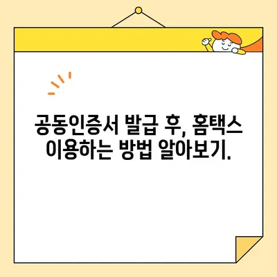 홈택스 사업자 공동인증서 발급 완벽 가이드| 단계별 설명 및 주의 사항 | 홈택스, 공동인증서, 사업자, 발급