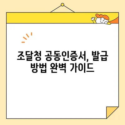 다수공급자계약, 나라장터 필수! 사업자 공동인증서 발급 완벽 가이드 | 조달청, 공동인증서, 발급 방법