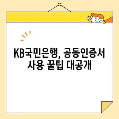 KB국민은행 공동인증서 완벽 가이드| 발급부터 재발급, 내보내기까지 | 공동인증서, 발급 방법, 재발급 방법, 내보내기