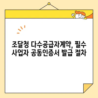 조달청 다수공급자계약 필수 사업자 공동인증서 발급 완벽 가이드 | 단계별 설명, 필요 서류, 주의 사항