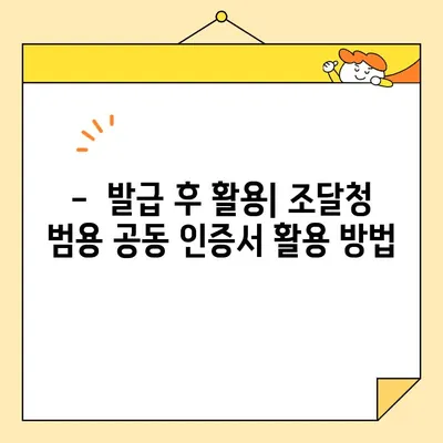 조달청 사업자 범용 공동 인증서, 오늘 당장 발급받는 방법 | 발급절차, 필요서류, 유의사항