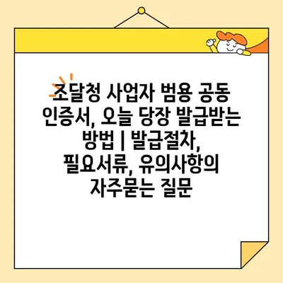 조달청 사업자 범용 공동 인증서, 오늘 당장 발급받는 방법 | 발급절차, 필요서류, 유의사항