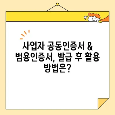 사업자 공동인증서 & 범용인증서, 지금 바로 발급받으세요! | 즉시 발급 안내, 간편한 절차, 자세한 방법