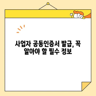 사업자 공동인증서 홈택스 발급| 단계별 완벽 가이드 | 홈택스, 국세청, 공동인증서, 사업자등록