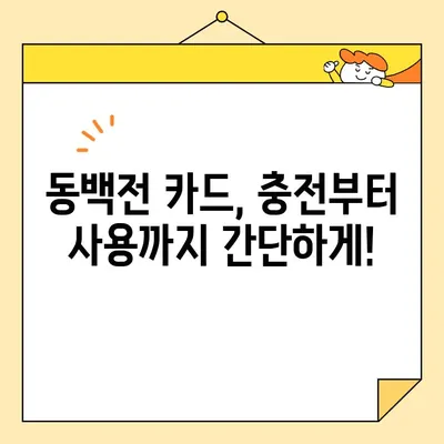 부산 동백전 카드 사용 가이드| 가맹점 찾기부터 꿀팁까지 | 부산, 지역화폐, 할인 혜택