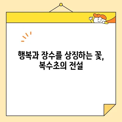 복과 장수의 꽃, 복수초| 봄을 알리는 황홀한 만남 | 야생화, 설경, 꽃말, 전설,  복수초 관찰 가이드