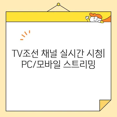 TV조선 3 채널 편성표 & 채널번호 확인| 실시간 방송 정보 | TV조선, 편성표, 채널, 시청