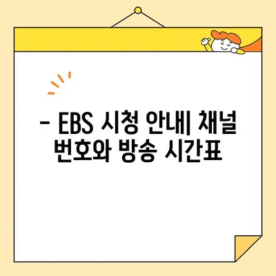 EBS 편성표| 채널번호와 방송시간 안내 | 실시간 방송 정보 확인