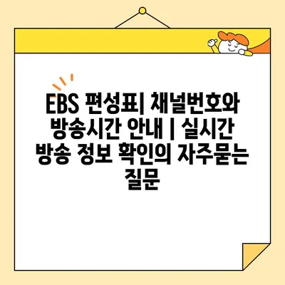 EBS 편성표| 채널번호와 방송시간 안내 | 실시간 방송 정보 확인