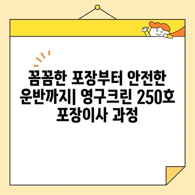 영구크린 250호 포장이사 리얼 후기| 솔직한 경험 공유 | 이사 후기, 영구크린, 250호, 포장이사, 비용, 서비스