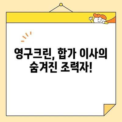 영구크린 두 번의 이사 후기| 합가 이사 꿀팁 대방출! | 이사 후기, 합가, 짐 정리, 이사 준비, 영구크린