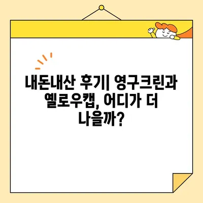 강서구 내돈내산 포장이사 견적 비교| 영구크린 vs 옐로우캡 | 실제 후기, 가격, 서비스 비교 분석