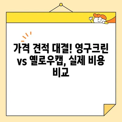 강서구 내돈내산 포장이사 견적 비교| 영구크린 vs 옐로우캡 | 실제 후기, 가격, 서비스 비교 분석