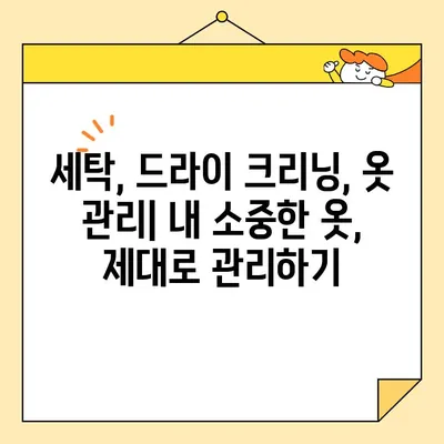 영구크린 299호점 이용 후기| 견적 비용, 실제 이용 팁 & 주의사항 | 세탁, 드라이 크리닝, 옷 관리, 솔직 후기