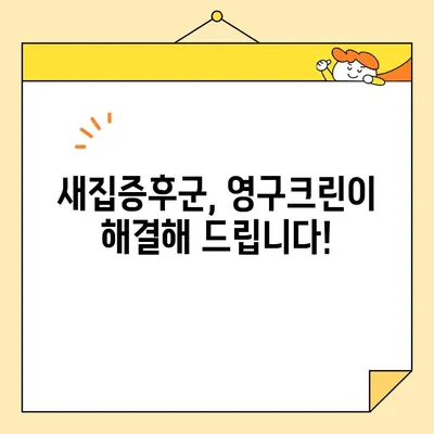 영구크린 입주 청소| 새집증후군 걱정 없이 깨끗하게! | 입주청소, 새집증후군, 실내공기정화