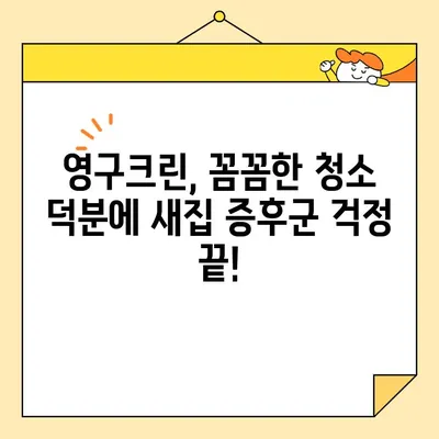 영구크린 입주청소 후기| 내돈내산 가격 포함 & 실제 후기 | 영구크린, 입주청소, 청소 후기, 가격 비교, 후기