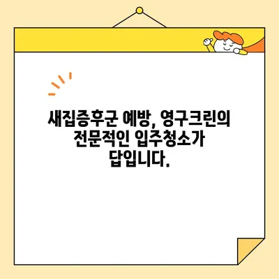 영구크린 입주청소| 새집증후군 걱정 없이 깨끗한 공간으로 입주하기 | 입주청소, 새집, 청소팁, 건강