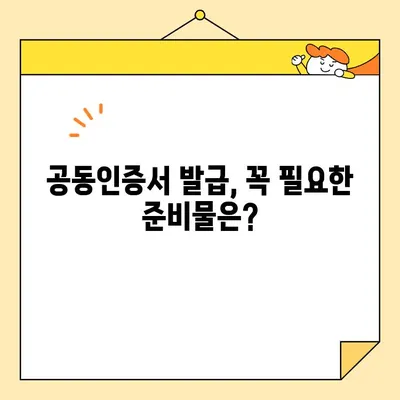 KB국민은행 공동인증서 발급부터 내보내기까지| 단계별 완벽 가이드 | 공동인증서, 발급, 내보내기, 국민은행