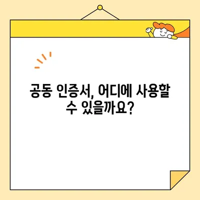 공동 인증서 발급, 이렇게 쉽게 체크하세요! | 공동 인증서, 발급 절차, 온라인 확인, 발급 기관