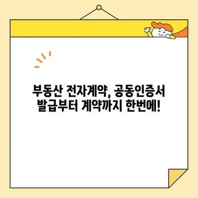 부동산 전자계약, 공동인증서로 간편하게! | 전자계약 공동인증서 발급, 부동산 전자계약 방법, 온라인 계약, 부동산 거래